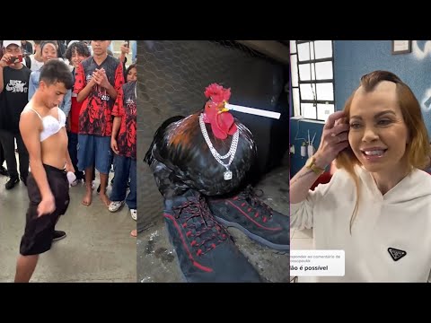 OS MELHORES TIK TOK DE COMÉDIA - TENTE NÃO RIR! #145