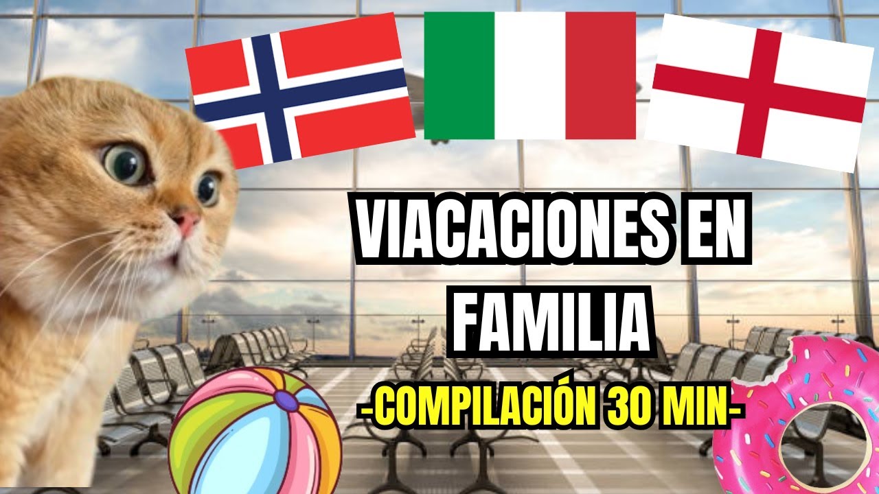 VACACIONES EN FAMILIA | Compilación 30 minutos (Memes de gatos)