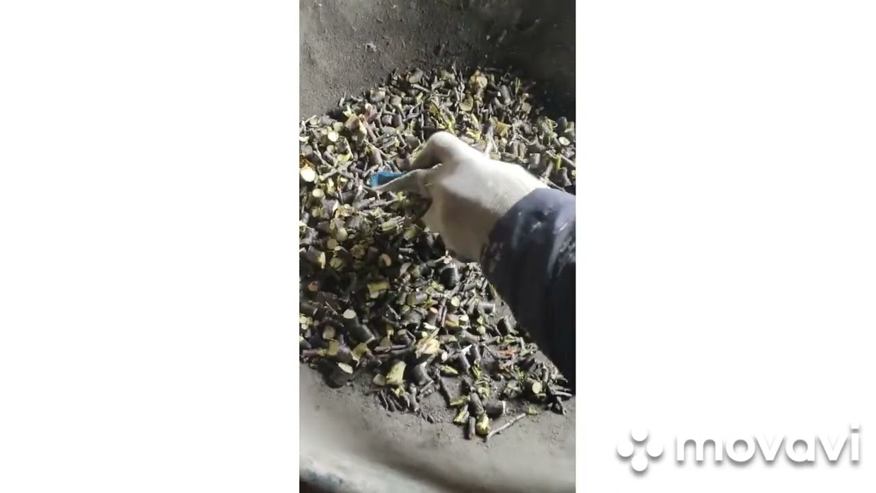 сечкарня, траворез, гильотина