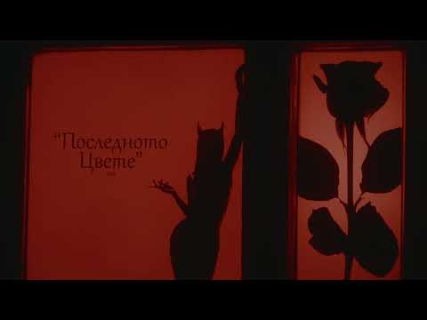 VSA - POSLEDNOTO CVETE (Official Audio)