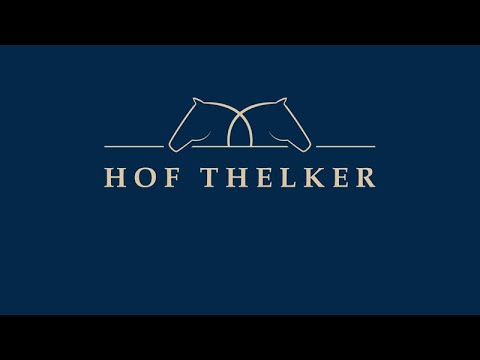 youtube preview