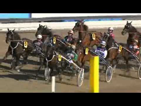 Fyraåringseliten Ston 2010 -Pebbly