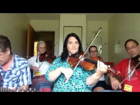Day 204 - Leonard's Breakdown - Patti Kusturok's 365 Days of Fiddle Tunes