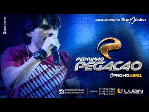 Pedrinho Pegação - CD Promocional ABRIL 2015 #RepertórioNovo