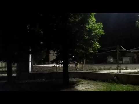 La furat flori ca pe dealul mare