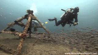 preview picture of video 'Atmosphere Dive Site: Pyramids, Dauin'