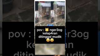 Download lagu malah nger3og😅 #trending #viral #beritaterkini #shorts #youtubeshorts #beritaviral mp3