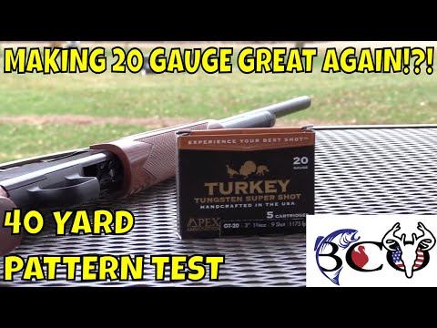 apex GT-20 #9's pattern test with my mossberg 500