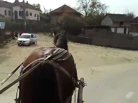 30-Oct-2007 Birzesti village, Arges County, Romania.mp4