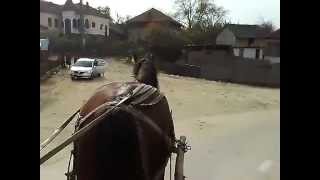 preview picture of video '30-Oct-2007 Birzesti village, Arges County, Romania.mp4'
