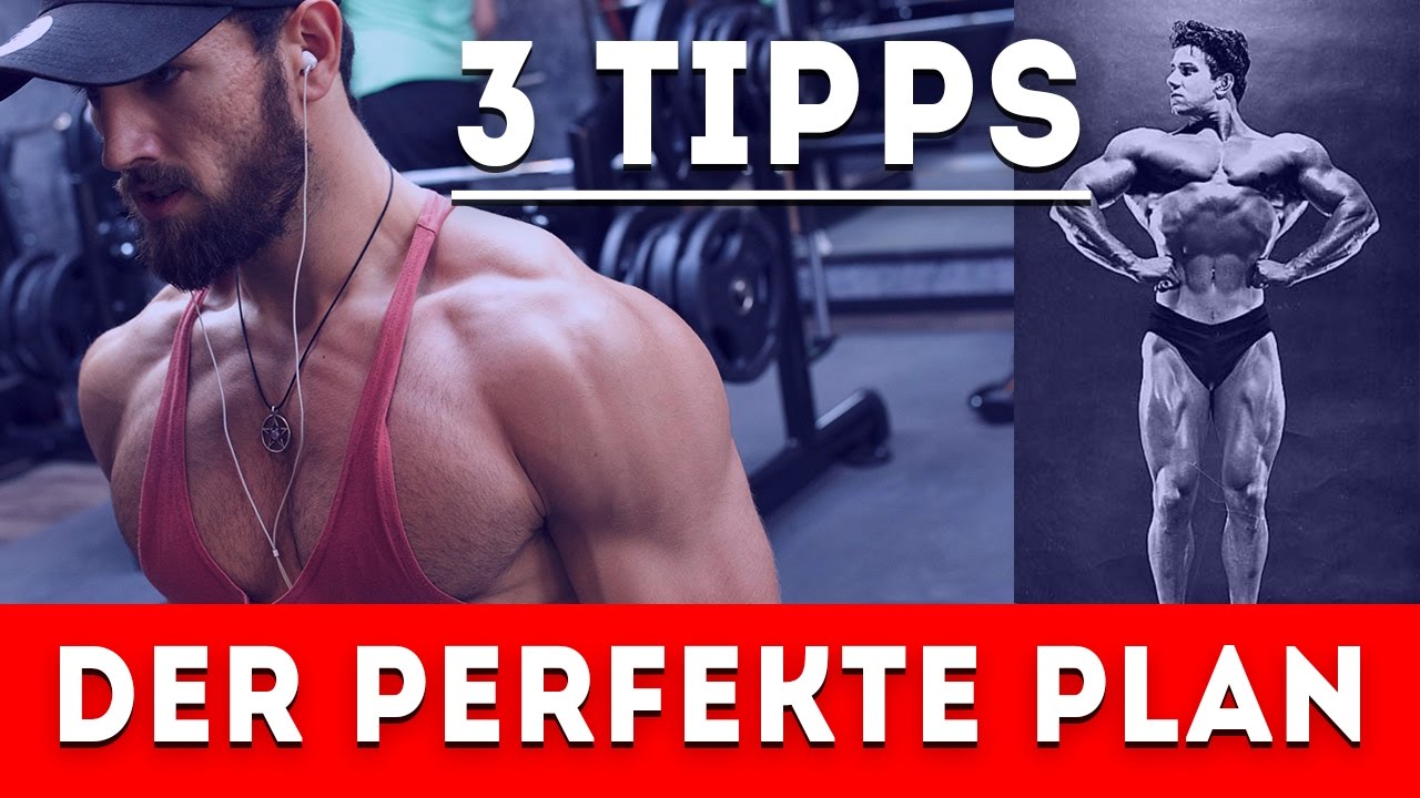 Die Fitness Fibel Der Wahre Weg Zum Muskelaufbau Sjard Roscher Test: „Fitness Fibel 2.0“ (Erfahrung & Meinung Sjard Roscher)