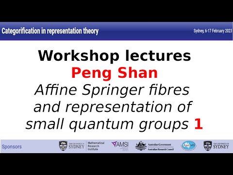 Peng Shan - Affine Springer fibres and representation of small quantum groups 1