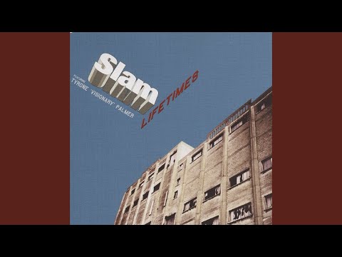 Lifetimes (Silicon soul mix)