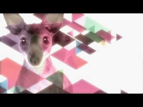 Skrillex vs Sander van Doorn & Julian Jordan - Scary Monsters & Nice Kangaroos (Robin Songz Remash)