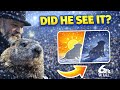 Groundhog Day 2026 Prediction: Watch Phil's forecast