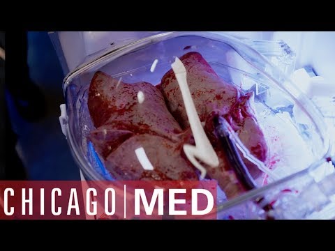 Dr Rhodes Takes The Lead On A Lung Transplant | Chicago Med