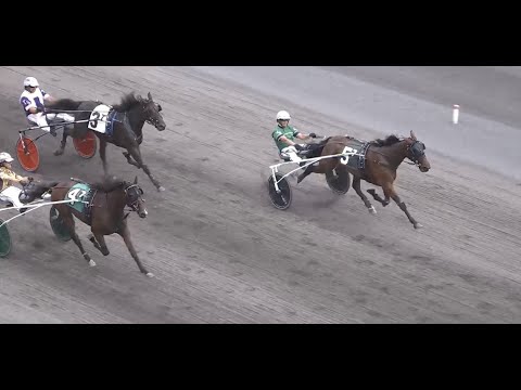 Sierra Girl & Åke Svanstedt wins PA Sire Stakes 2 Year Old Fillies ($40,537) in 1.56,2 at Chester.