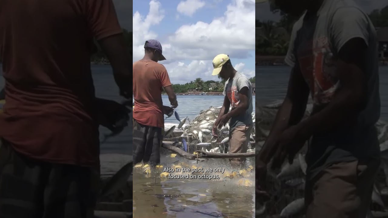 How smartphones are helping fishers save the sea