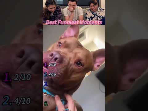 #funny #fyp