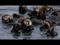 John Gorka  Zuly  slideshow Sitka Alaska