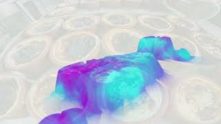 Sosyal tesisimize henüz gelmediyseniz, 