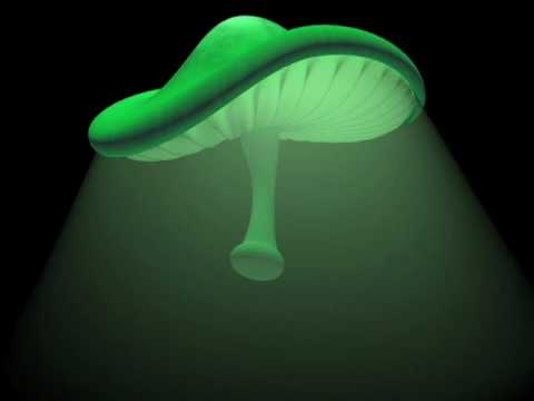 Marshall Jefferson vs Noosa Heads - Mushrooms (Martin Eyerer Remix)