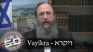 Weekly Torah Portion: Vayikra