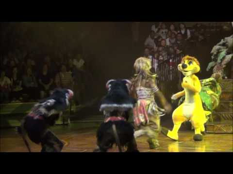 The Lion King Festival ; The Circle Of Live || Disneyland Hongkong 2017