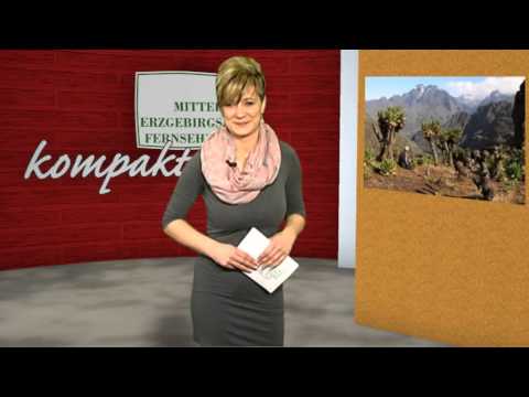 MEF kompakt 2015 kw11