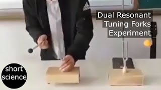 Dual Resonant Tuning Forks Experiment