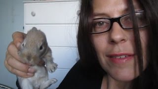 CRAZY RABBIT LADY!