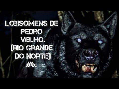 Lobisomens de Pedro Velho. (Rio Grande do Norte)#6.