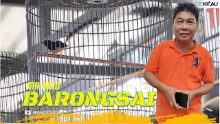 Download lagu AKSI HEBAT MURAI BATU BARONGSAI JR DI KELAS UTAMA TIKET 1.6 JUTA mp3