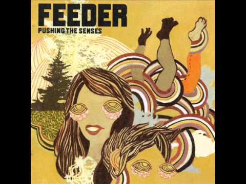 Feeder - Feeling a Moment