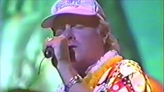 Summer In Paradise - The Beach Boys Live
