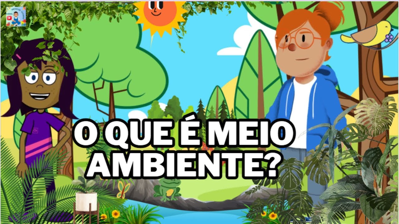 O que é Meio Ambiente