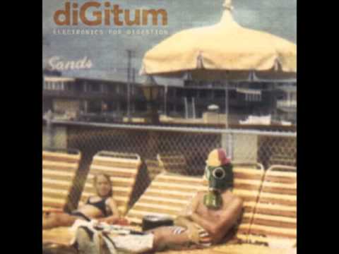 Document # 5 by diGitum(from the album Electronics for digestion)