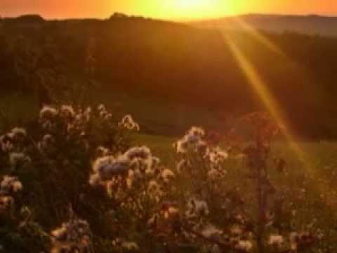 HANA ZAGOROVÁ - ZÁSNUBY