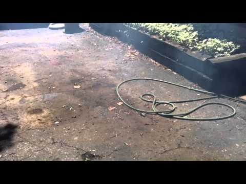 Kawasaki Ninja250  seafoamed  results