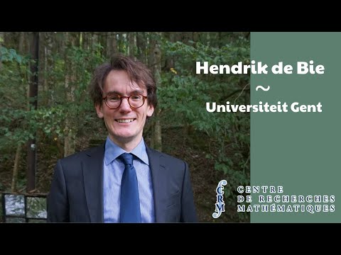 Videoconference: The Dunkl intertwining operator