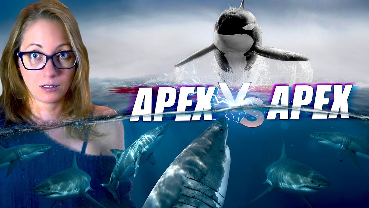 Orcas VS Sharks: What Happens When Predators Become Prey?