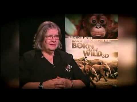 IMAX Melbourne Museum Launch of Born to Be Wild