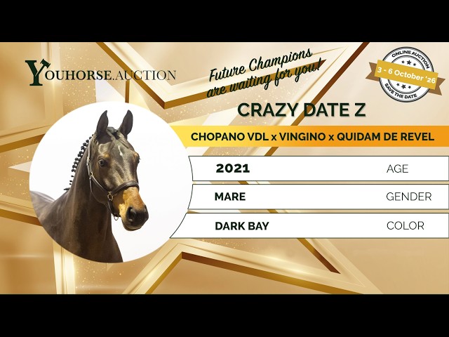 Crazy Date showvideo