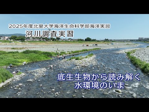 海洋生命科学科 2025年度 海洋実習（河川調査）