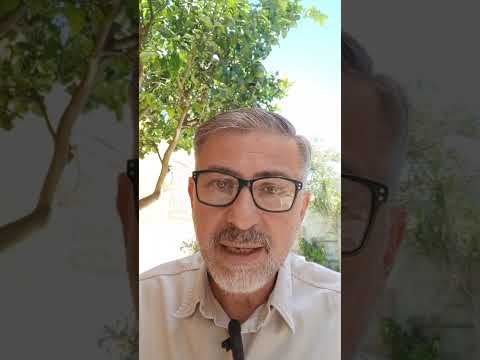 Evangelio del Nuestro Señor Jesucristo Con el Padre Fabian Esteban Oliva. 25/11/25