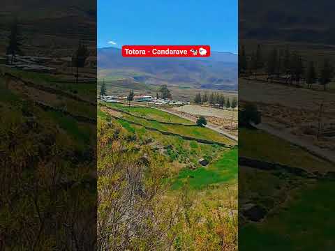 ex hacienda Totora ubicada en la provincia de Candarave region Tacna - Peru #travel #turismo