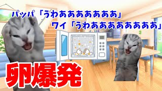 【猫ミーム】電子レンジで卵爆発させた時の話
