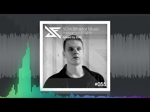 SCHUBfaktor Music Podcast Vol. 7/2018 📀 Mixed by ESM