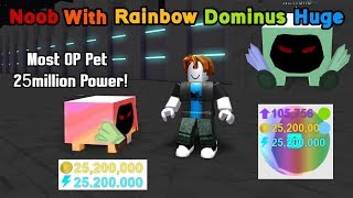 Hunting Rainbow Dominus Huge Skeleton Ghost Rarest Pet Pet - noob with rainbow dominus huge 25million stats best pet pet simulator