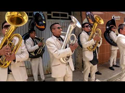 PLANTA DE MAGUEY - Banda Show La Huaranchal